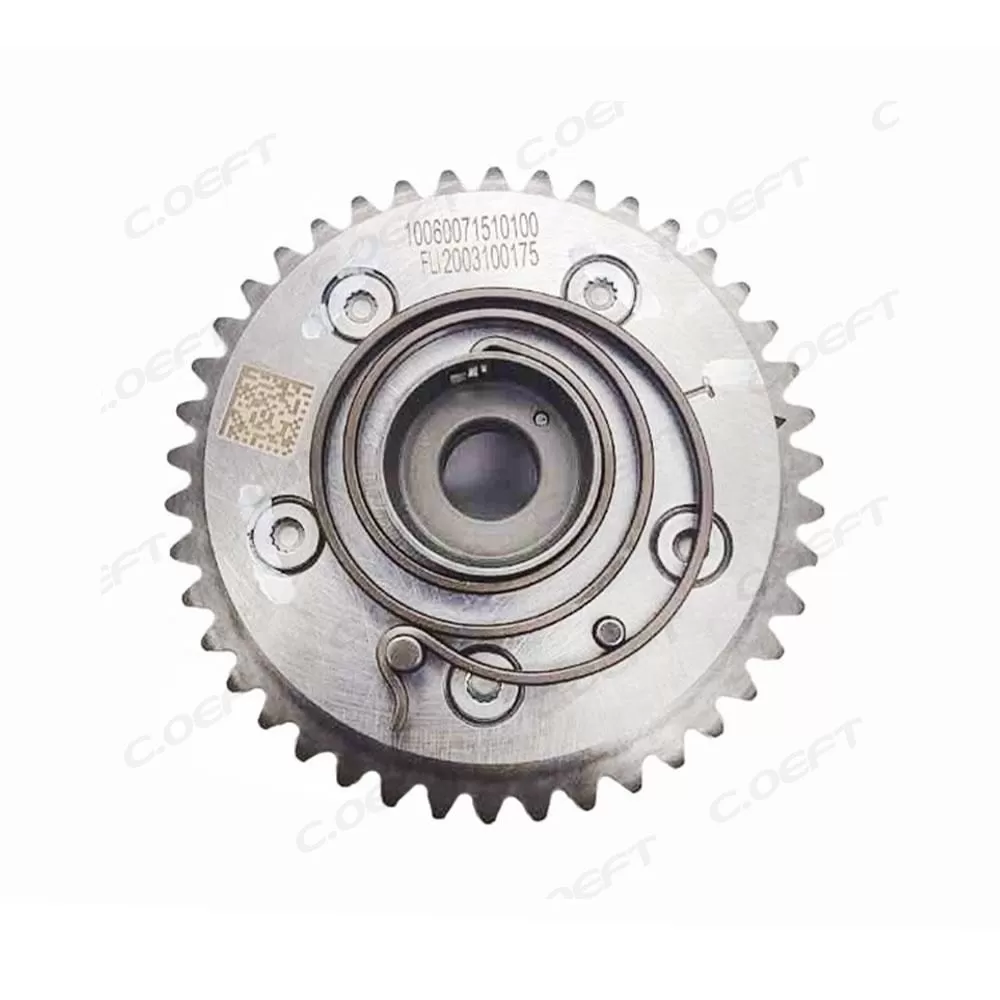 For Trumpchi Timing Gear 10060071510100