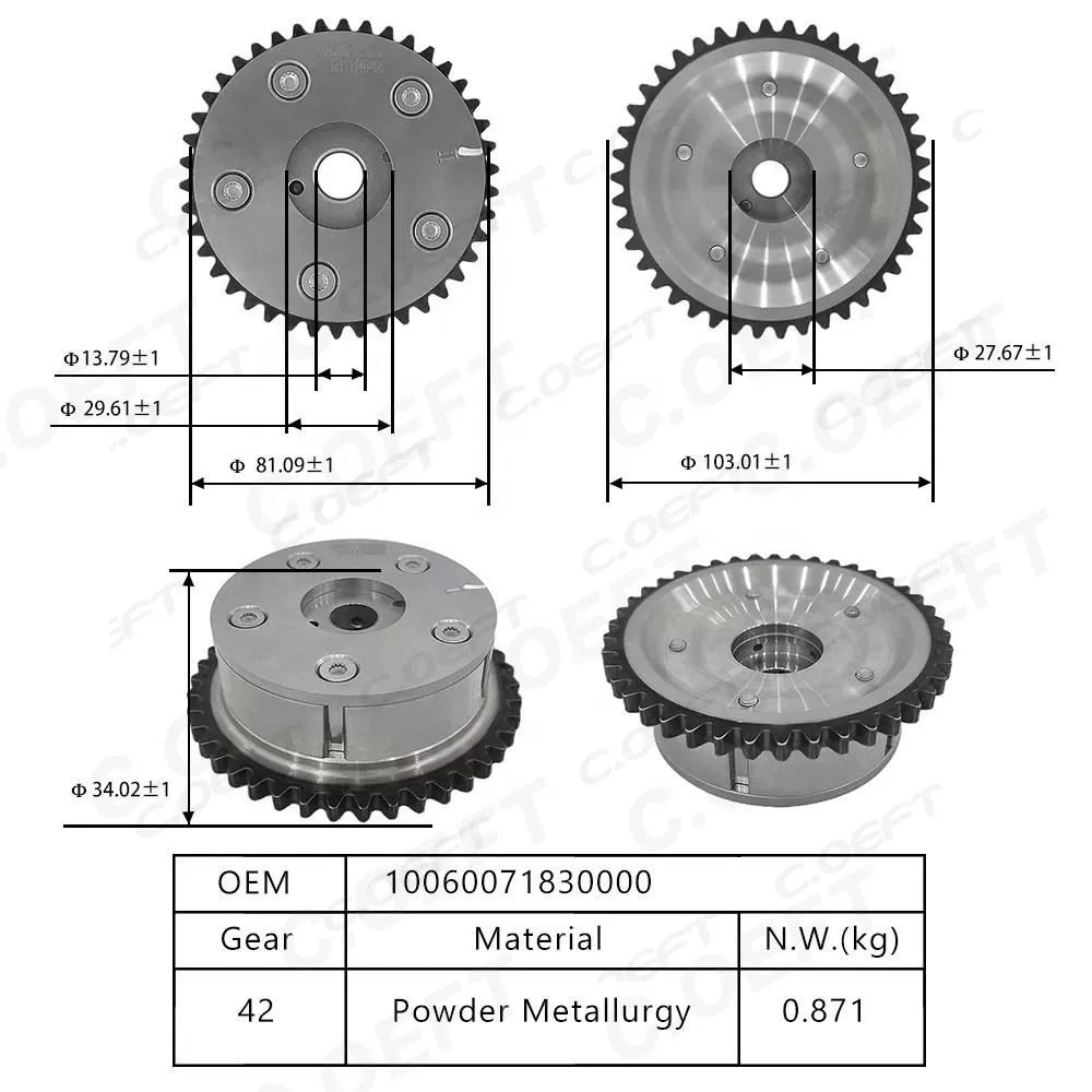For Trumpchi 2.0  Camshaft Adjuster 10060071830000