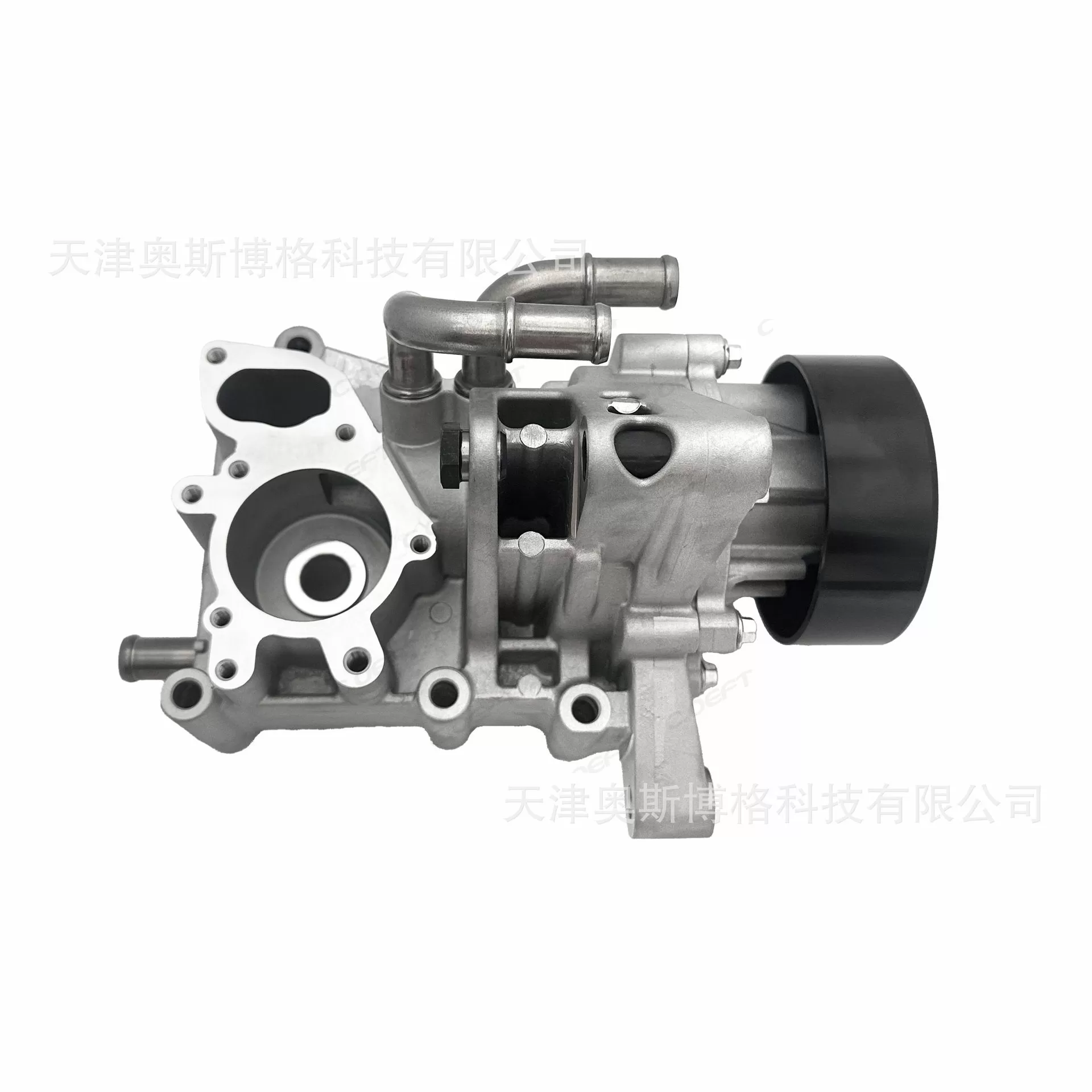 Applicable to Chery Jietu, Exeed, Tiggo 8, Tiggo 8 Plus with 1.6T Engine F4J16 Water Pump