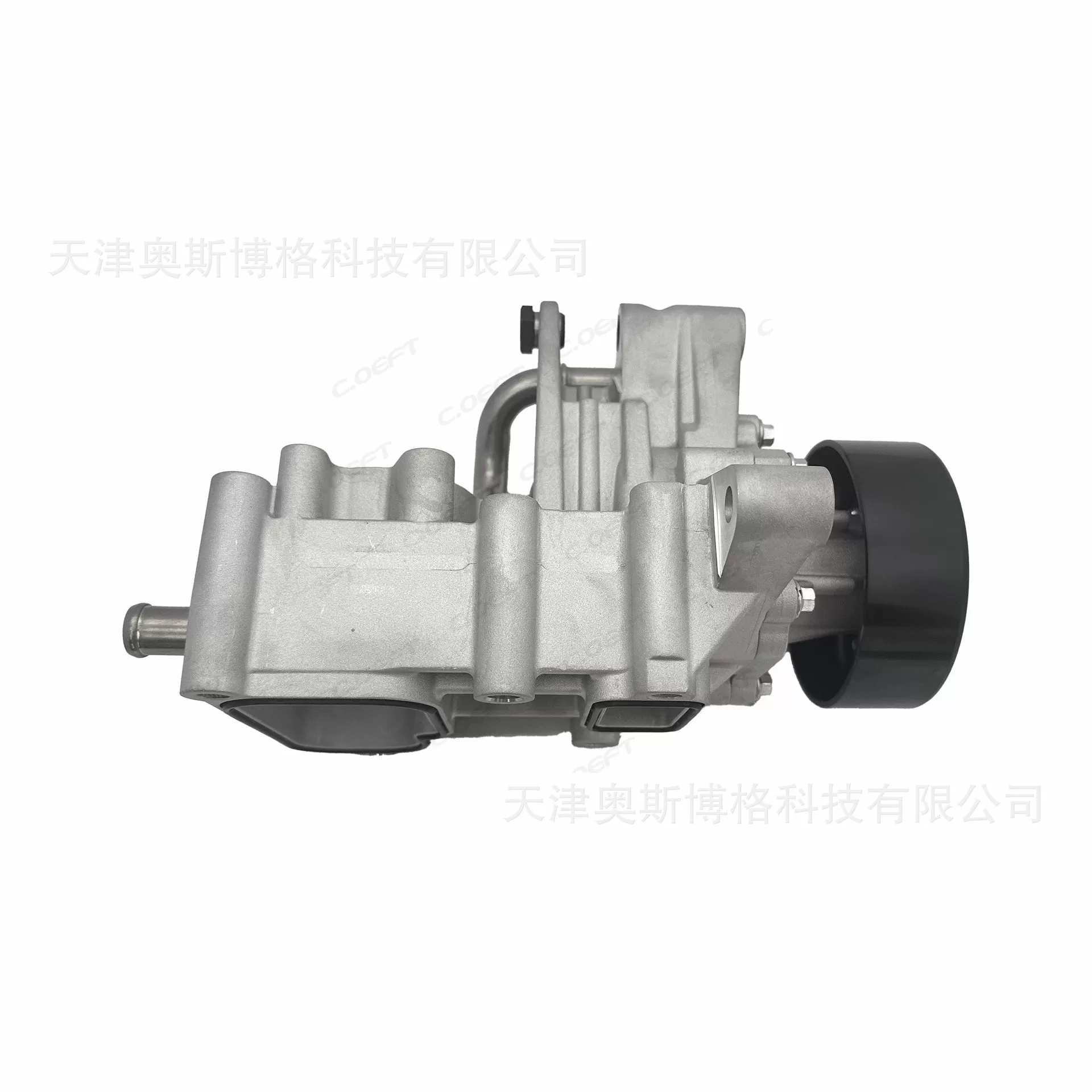 Applicable to Chery Jietu, Exeed, Tiggo 8, Tiggo 8 Plus with 1.6T Engine F4J16 Water Pump