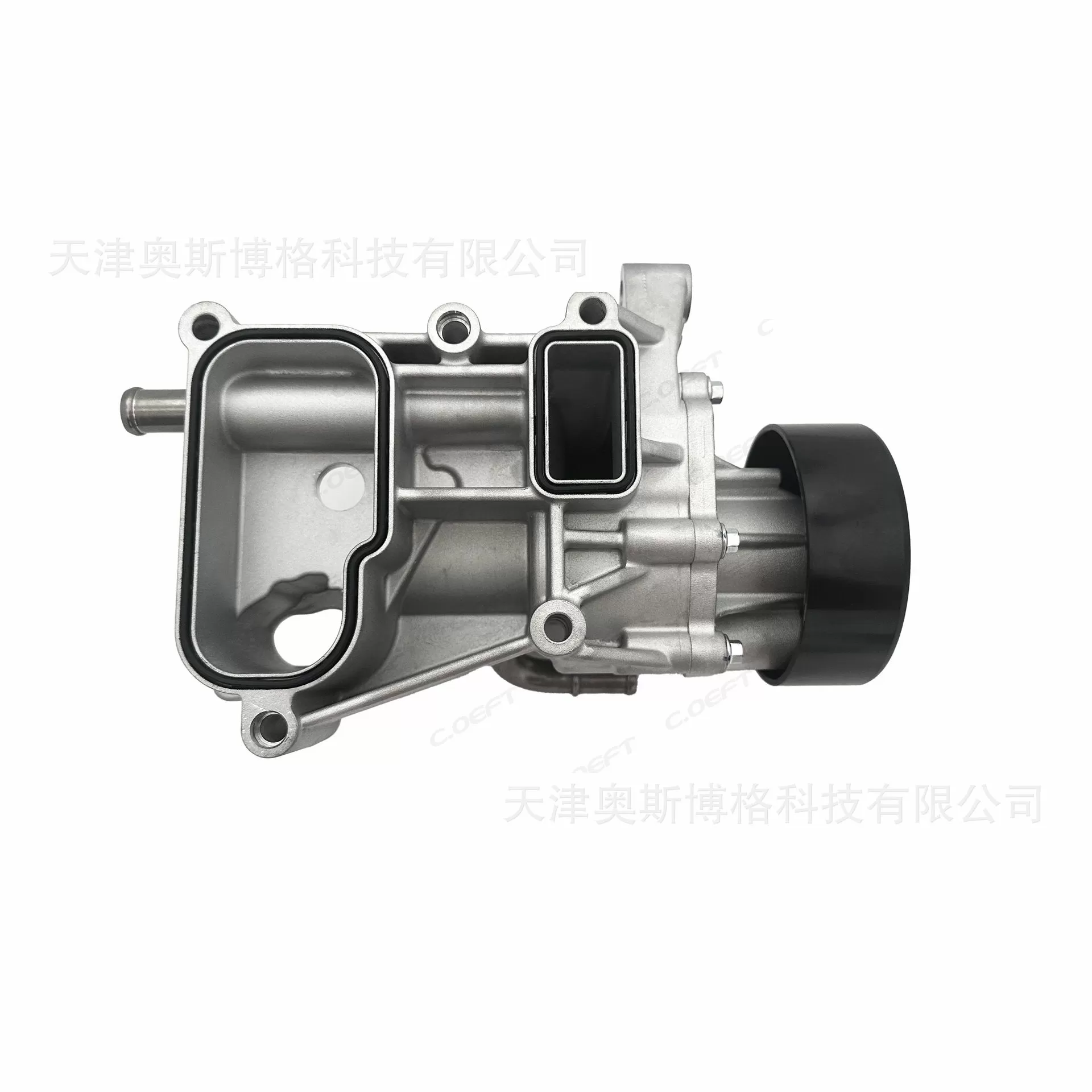 Applicable to Chery Jietu, Exeed, Tiggo 8, Tiggo 8 Plus with 1.6T Engine F4J16 Water Pump