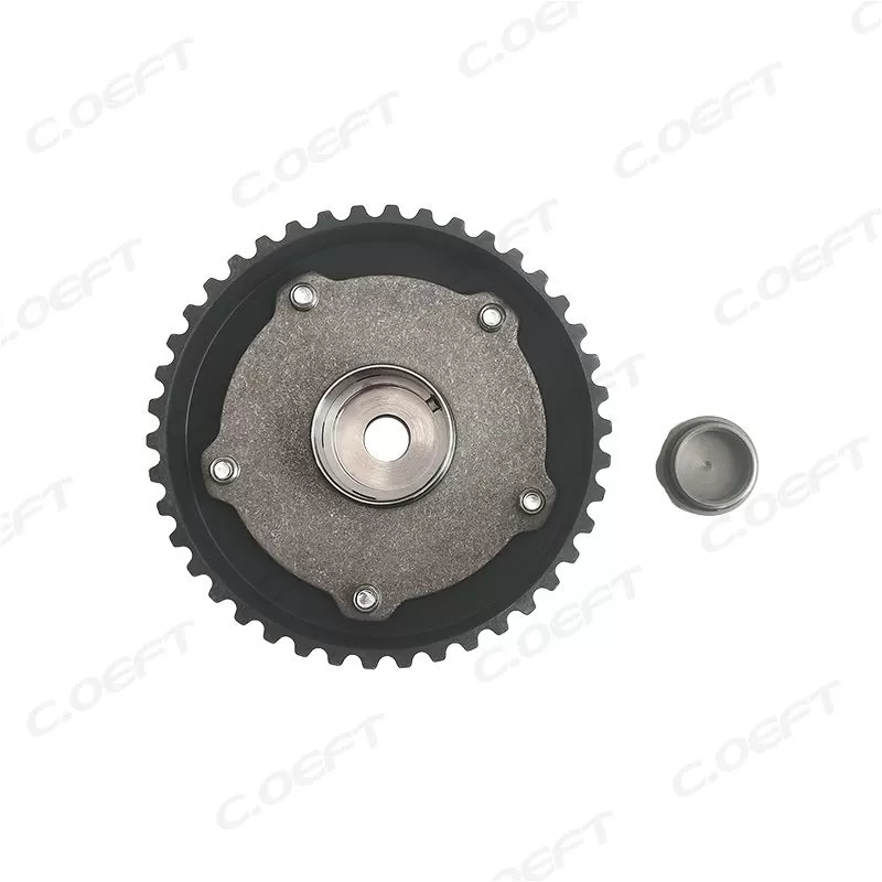 For Lada (Russia) Timing Camshaft Gear 21176106501000